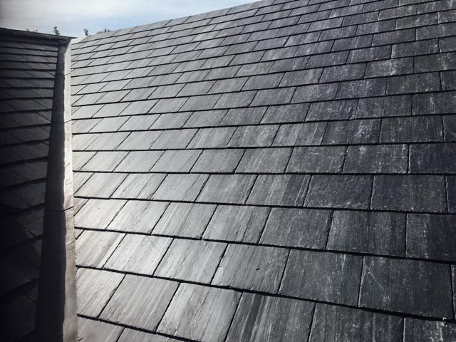 Think you might need a new roof image